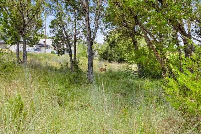 a backyard of a house with lots of plants and tree