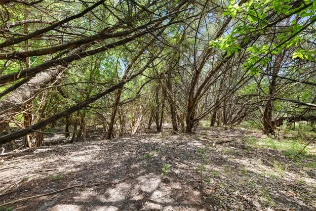 a big yard with large trees