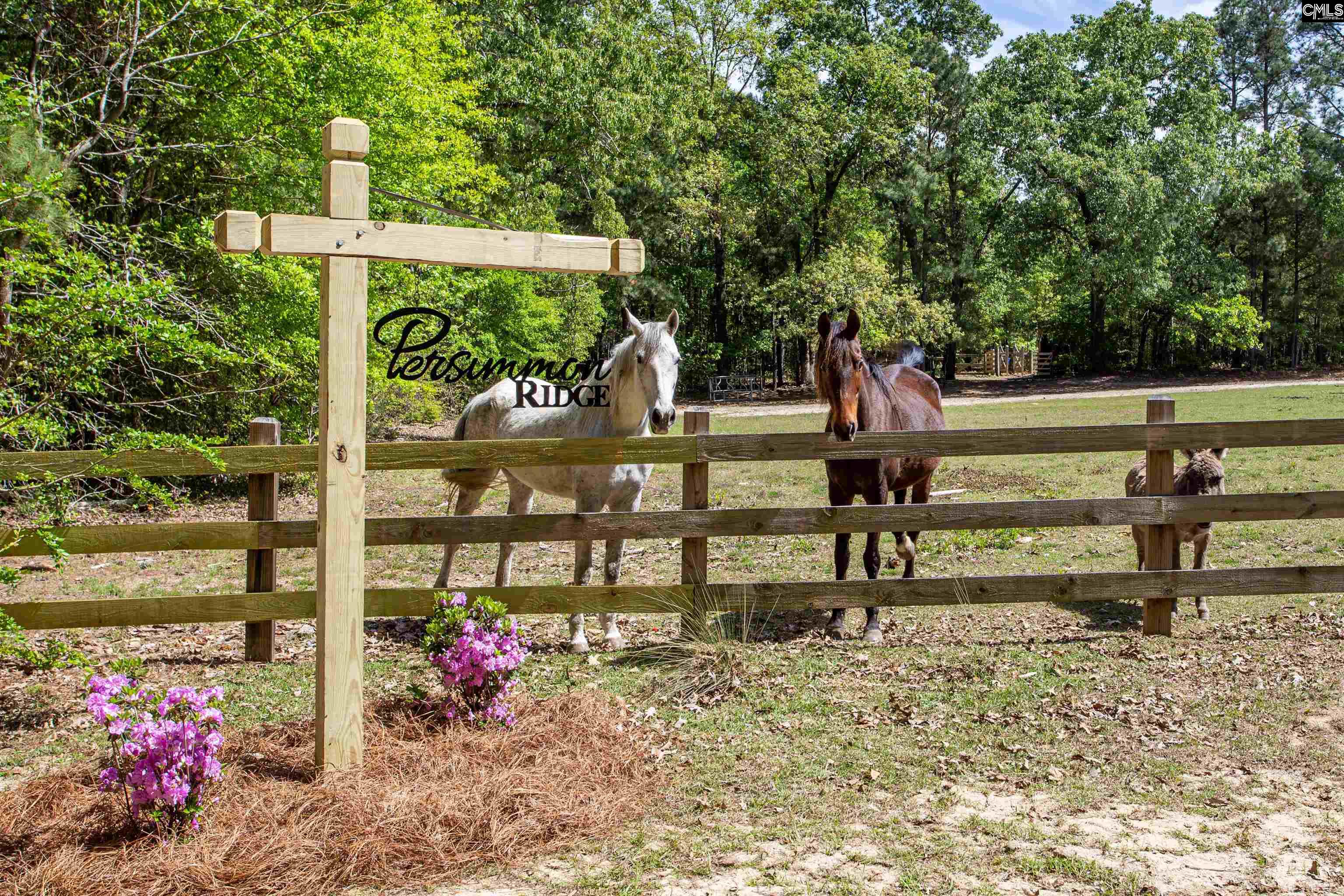 146 Williams Road Camden, SC 29020 - Photo 53 of 72