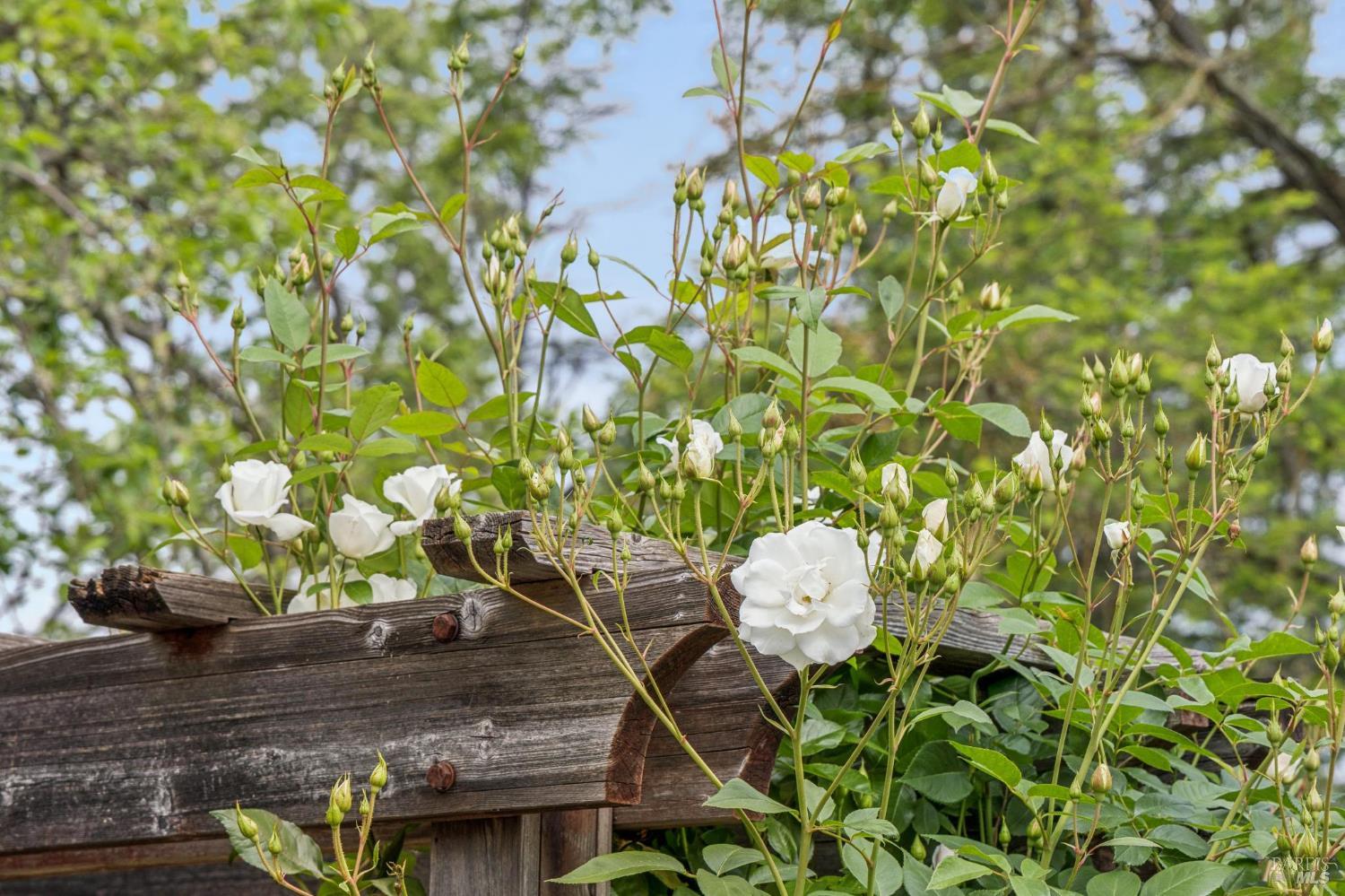 909 Slater Street Santa Rosa, CA 95401 - Photo 35 of 39