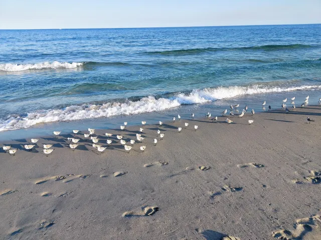 a view of a room with a wooden floor