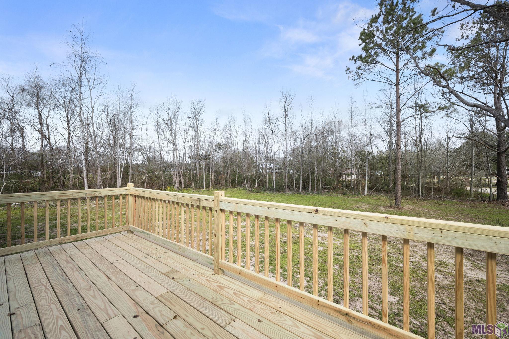 44089 Bill Richardson Road St. Amant, LA 70774 - Photo 3 of 21