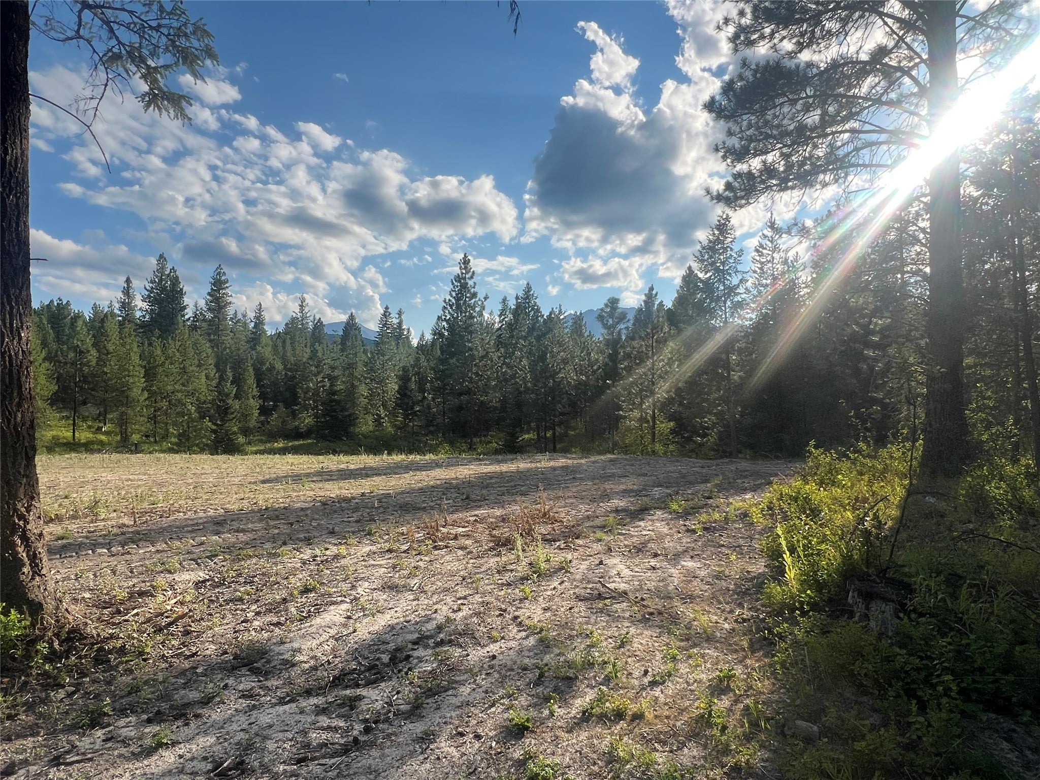 Tbd Granite Lake Road, Unit 3 Libby, MT 59923 - Photo 3 of 7 Gallery Image 3