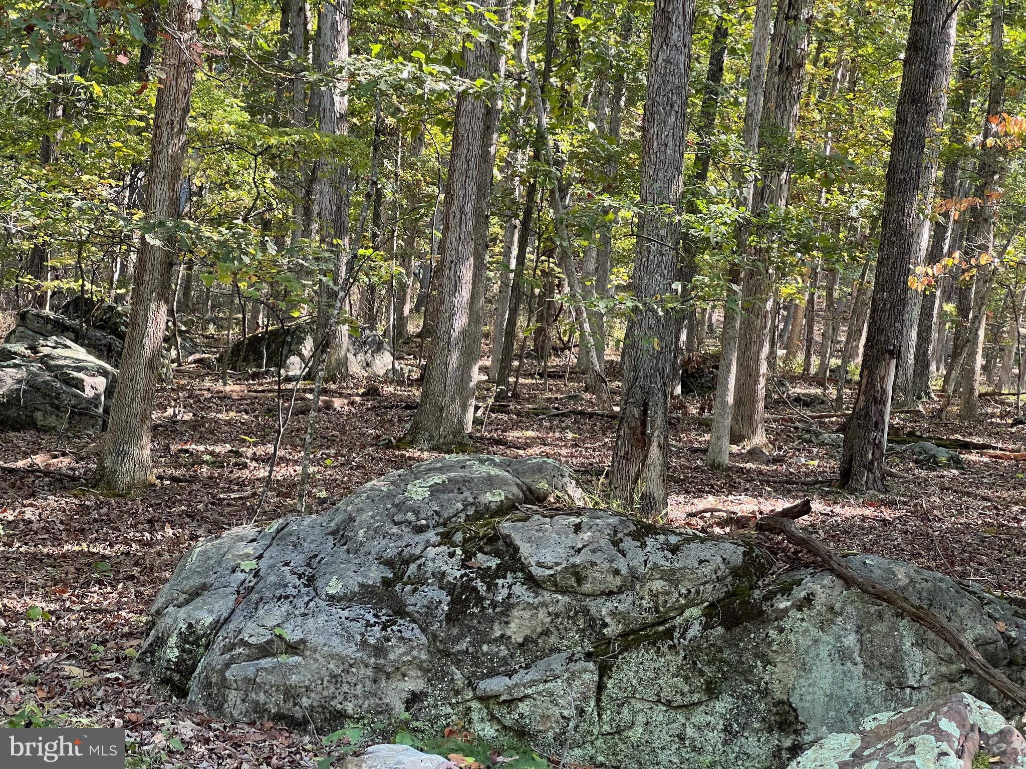 1604 High Knob Road Old Fields, WV 26845 - Photo 82 of 113
