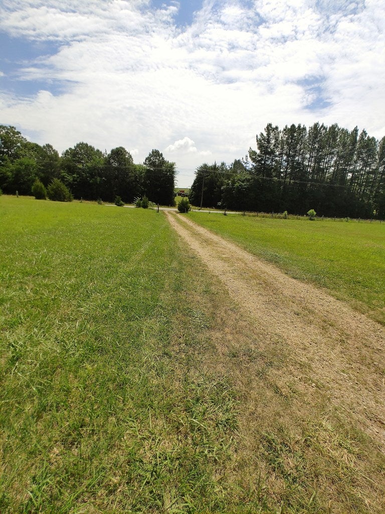 539 Landfill Road Baskerville, VA 23915 - Photo 18 of 38 Looking down the Driveway