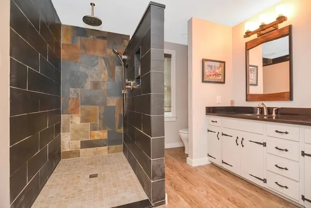 a bathroom with a sink a toilet and a shower