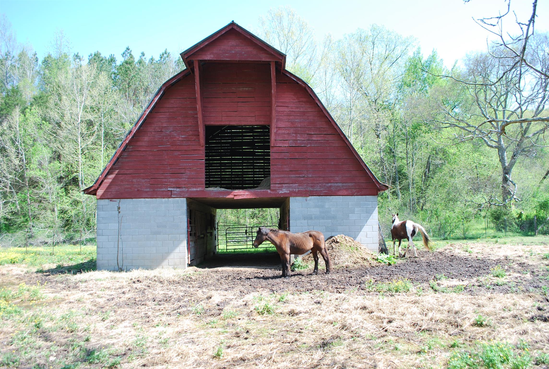 2860 East Beaverdam Road Centerville, TN 37033 - Photo 14 of 30 Gallery Image 14
