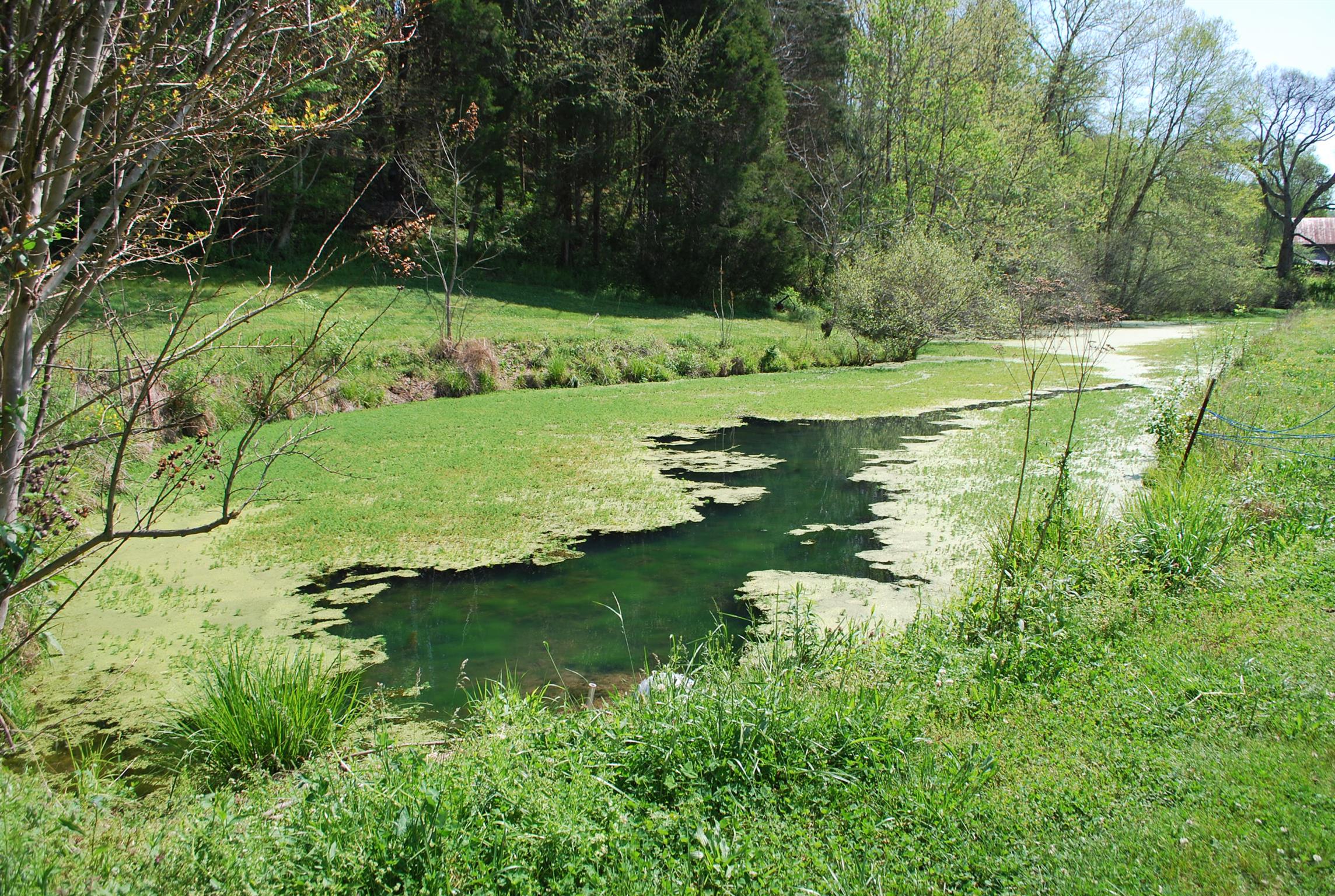 2860 East Beaverdam Road Centerville, TN 37033 - Photo 7 of 30 Gallery Image 7