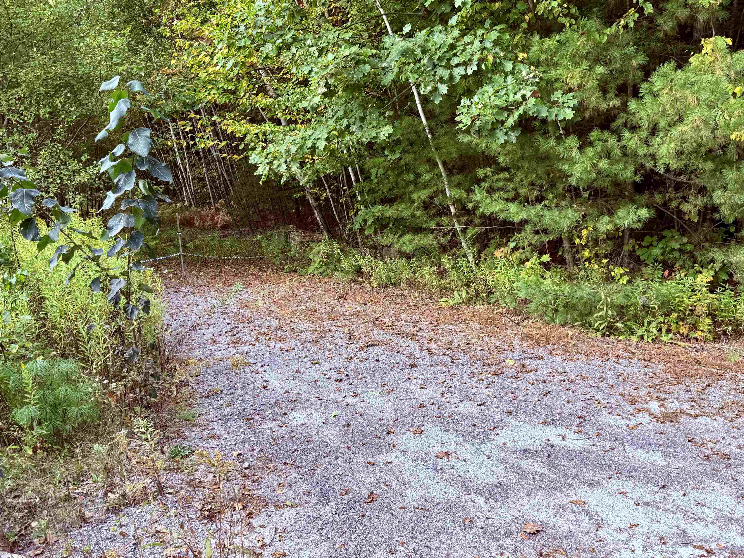 85 Pike Hill Road Newport, NH 03773 - Photo 3 of 5