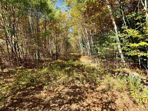 $125,000 | 85 Pike Hill Road, Newport, NH 03773