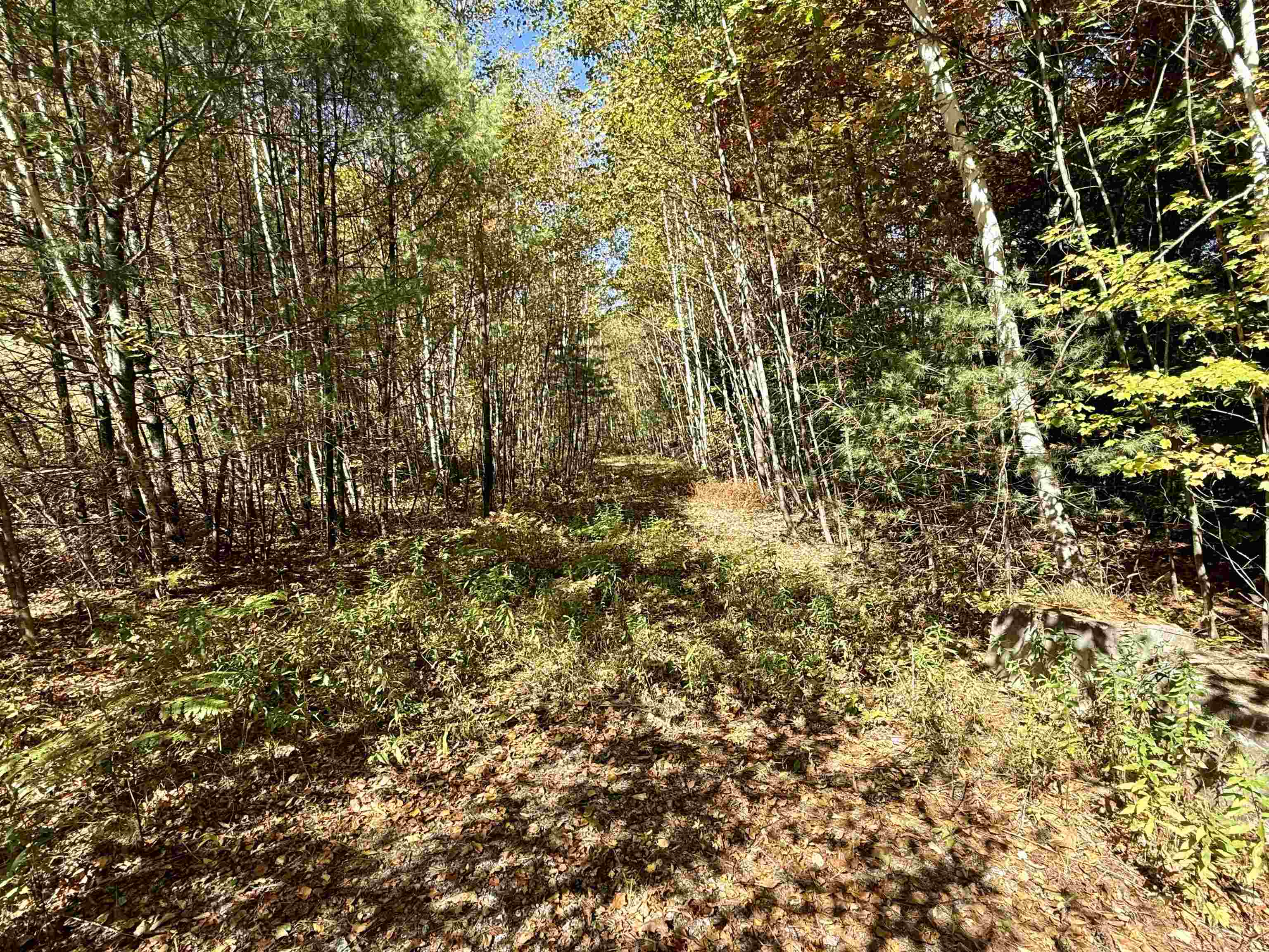 85 Pike Hill Road Newport, NH 03773 - Photo 4 of 5