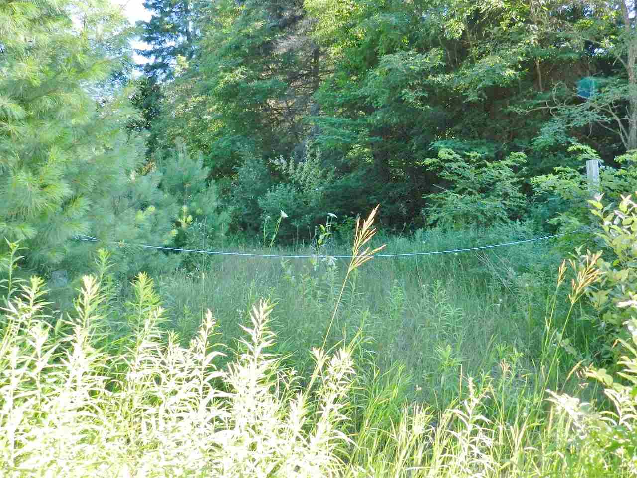 7529 Blue Road Southwest Fife Lake, MI 49633 - Photo 33 of 62 1865960-32.JPG