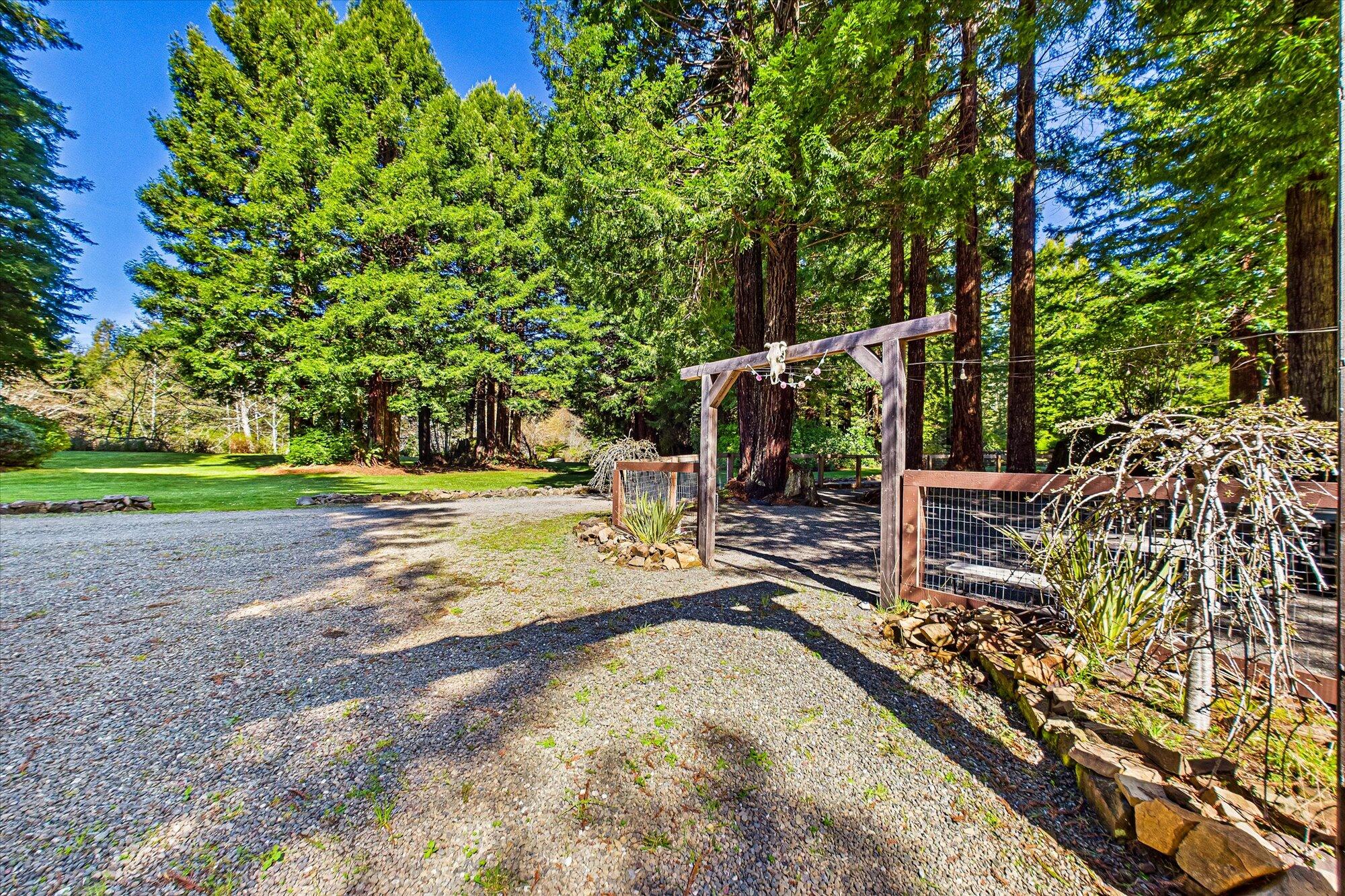 174 Fox Farm Road Trinidad, CA 95570 - Photo 188 of 200 Gallery Image 188