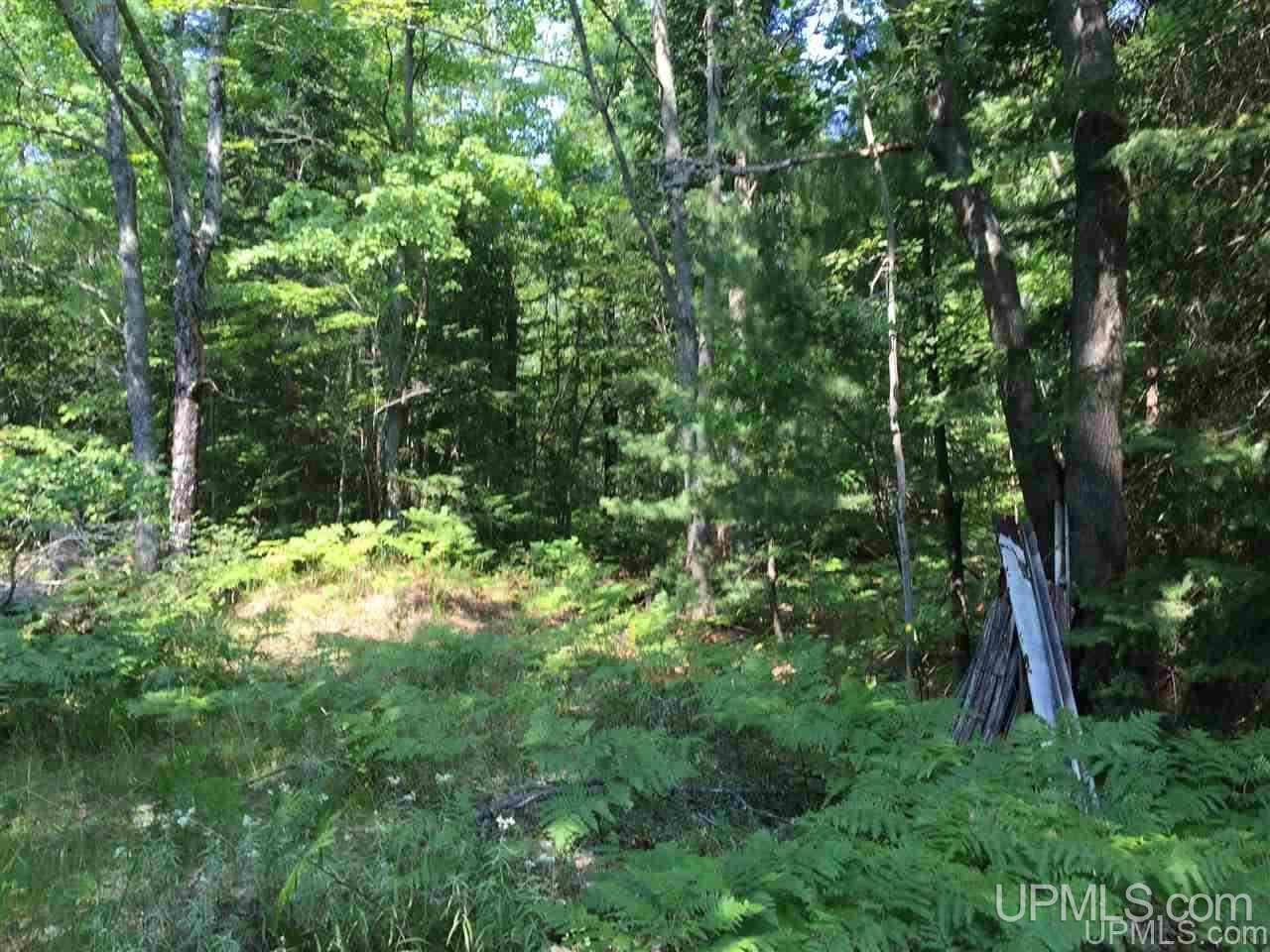 36 Camp Road Big Bay, MI 49808 - Photo 33 of 40