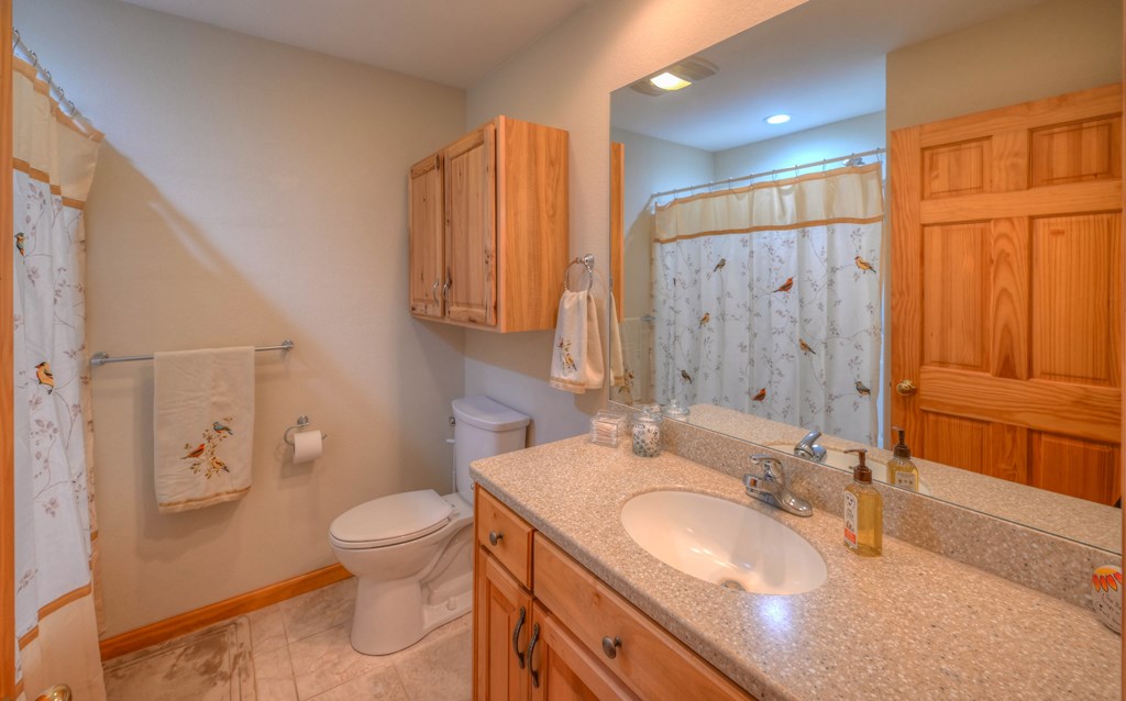 95 Poplar Spring Lane Murphy, NC 28906 - Photo 45 of 95 Gallery Image 45