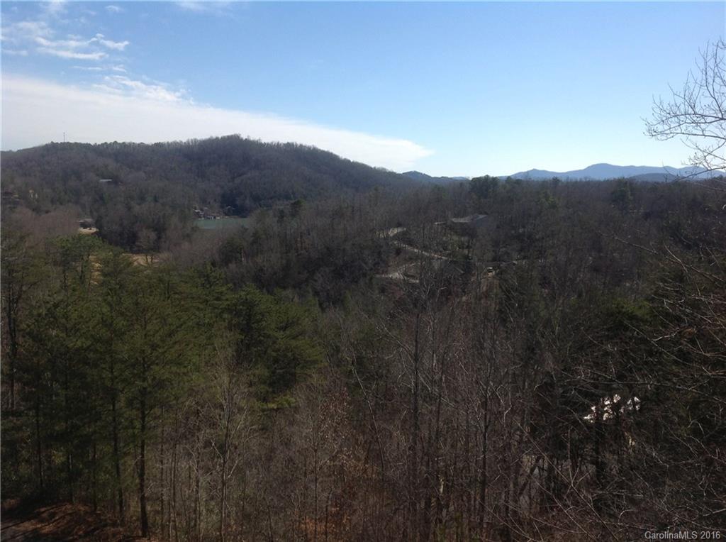 309 Ridgeway Road Lake Lure, NC 28746 - Photo 3 of 24 Gallery Image 3