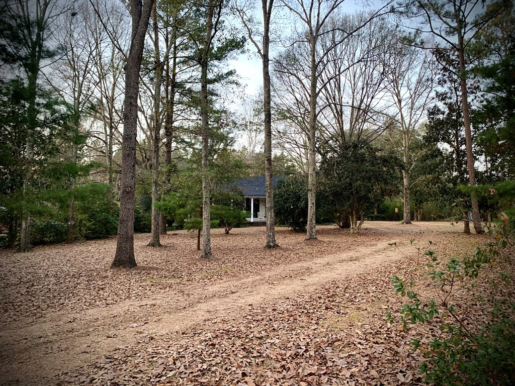477 Old Jackson Road Liberty, MS 39645 - Photo 3 of 23 Photo 3