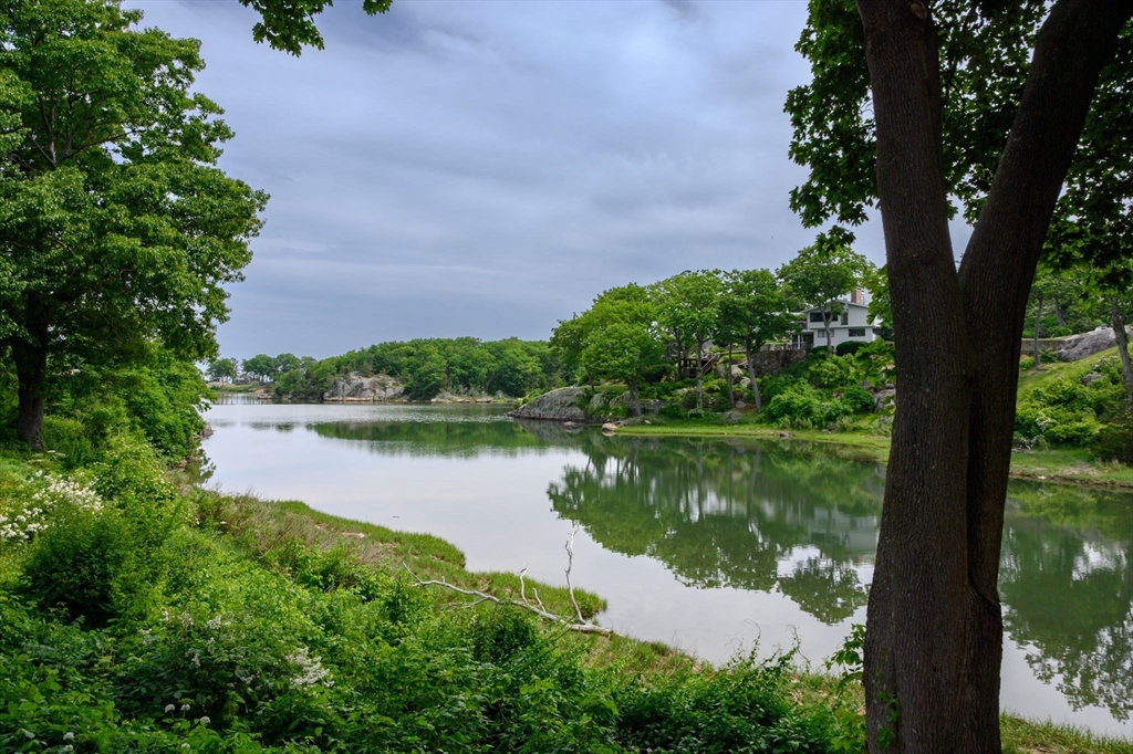 20 Nichols Road Cohasset, MA 02025 - Photo 6 of 39