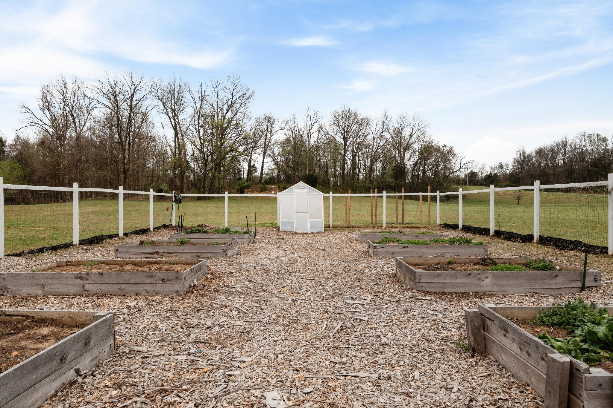 4057 Calista Road Cross Plains, TN 37049 - Photo 71 of 89