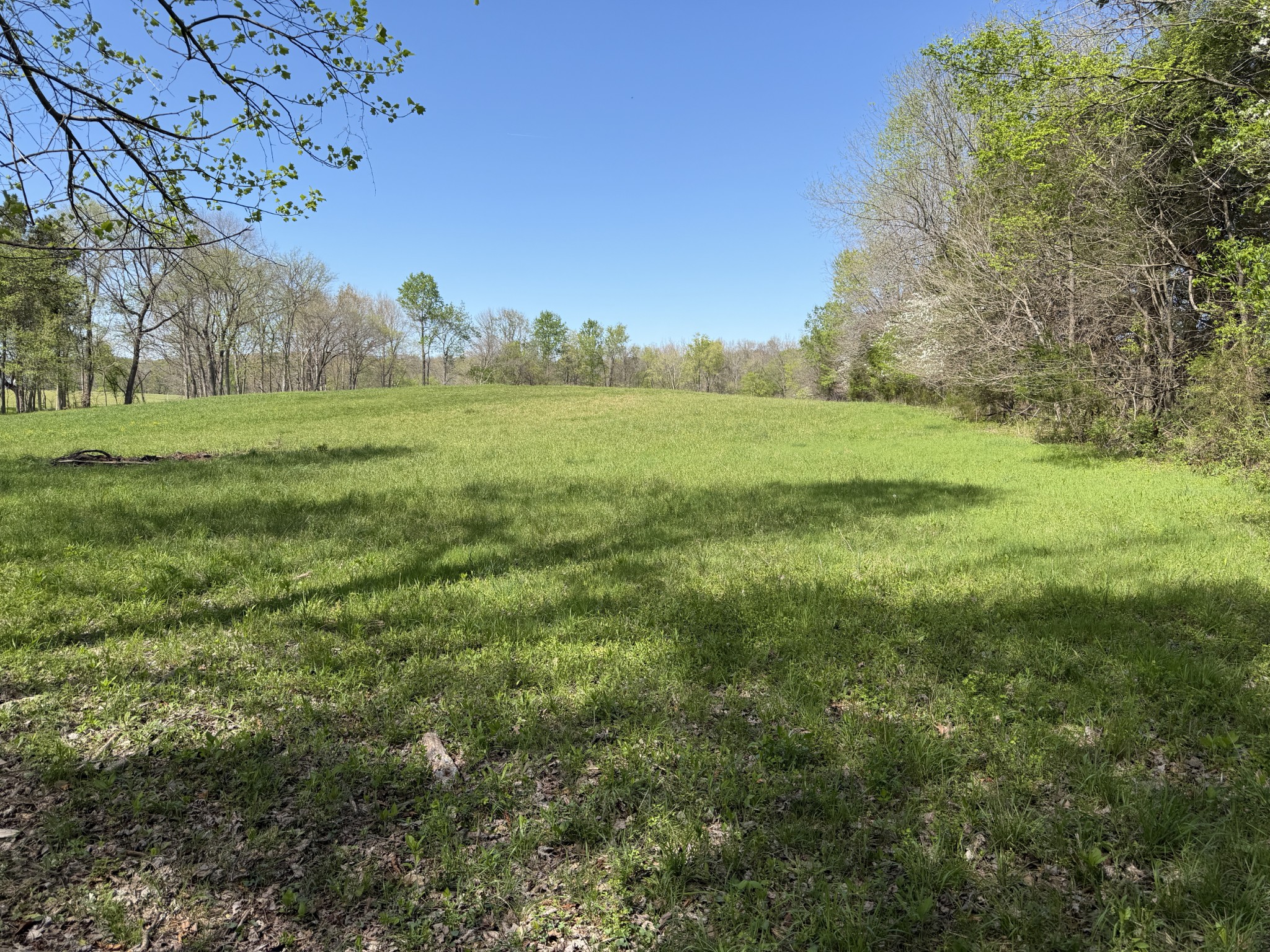 4057 Calista Road Cross Plains, TN 37049 - Photo 91 of 92 a view of a green field with wooden fence