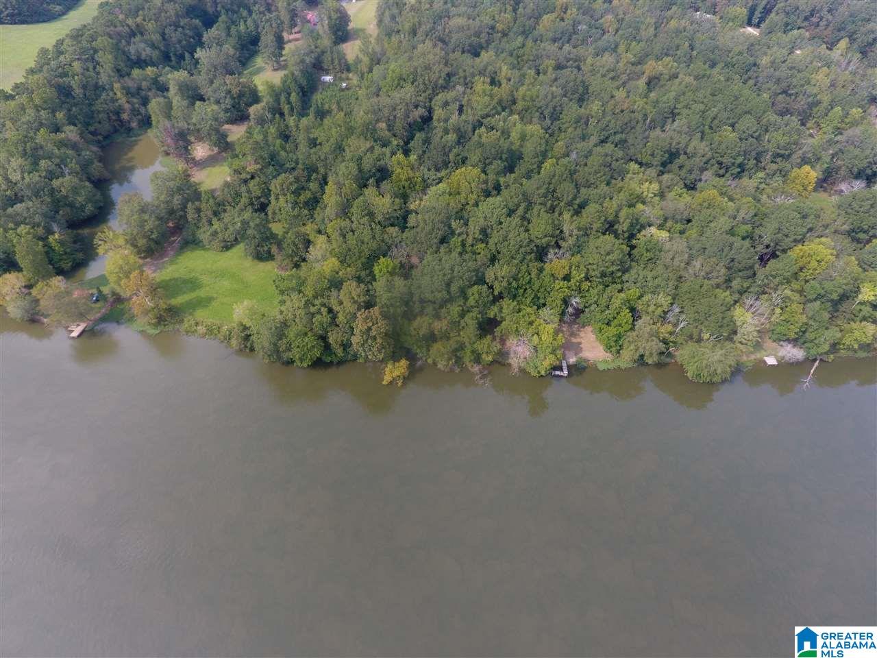 0 Brooks Road Ragland, AL 35131 - Photo 11 of 49