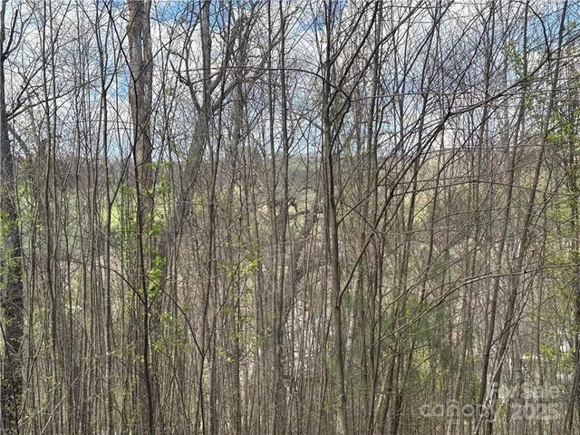 $49,900 | Tbd East Landing Ridge Circle, Unit 24, Jefferson, NC 28640