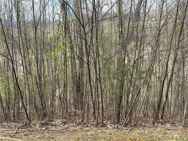 $49,900 | Tbd East Landing Ridge Circle, Unit 24, Jefferson, NC 28640