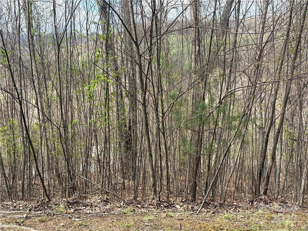 Tbd East Landing Ridge Circle, Unit 24 Jefferson, NC 28640 - Photo 2 of 11