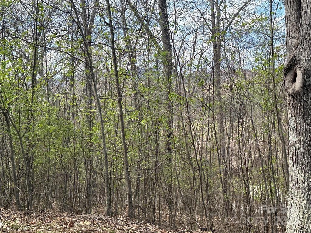 Tbd East Landing Ridge Circle, Unit 24 Jefferson, NC 28640 - Photo 3 of 11