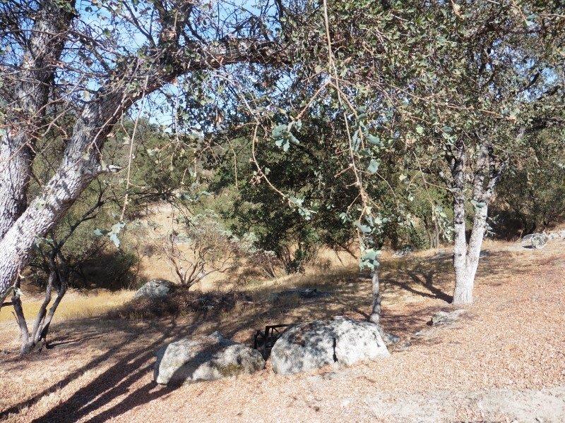38079 Lodge Road Tollhouse, CA 93667 - Photo 33 of 59 Gallery Image 33
