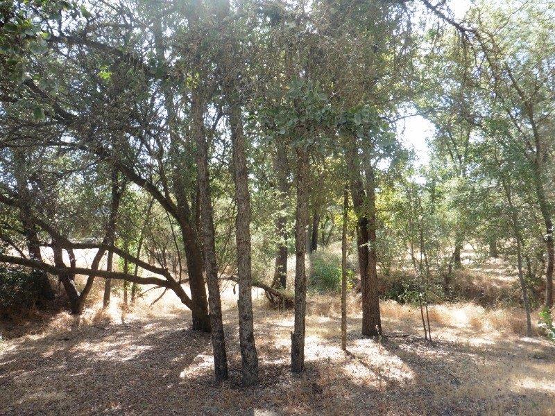 38079 Lodge Road Tollhouse, CA 93667 - Photo 52 of 59 Gallery Image 52