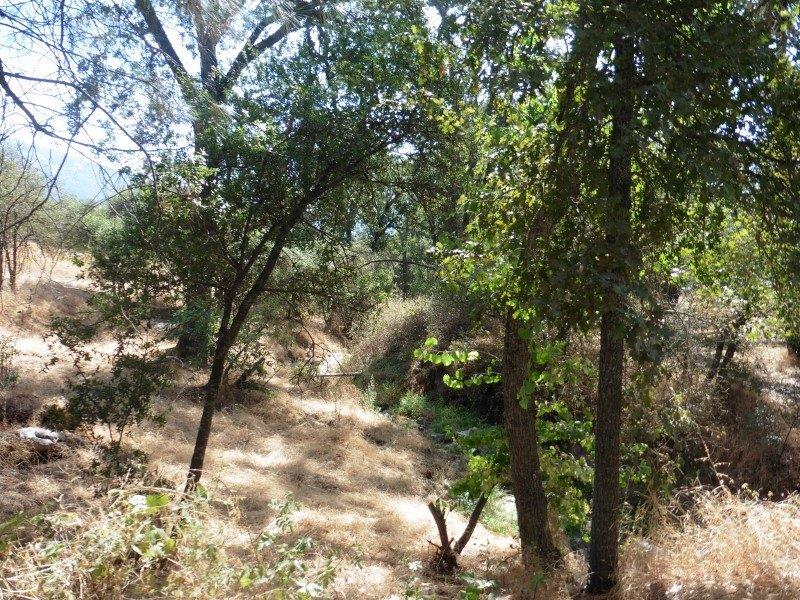 38079 Lodge Road Tollhouse, CA 93667 - Photo 53 of 59 Gallery Image 53