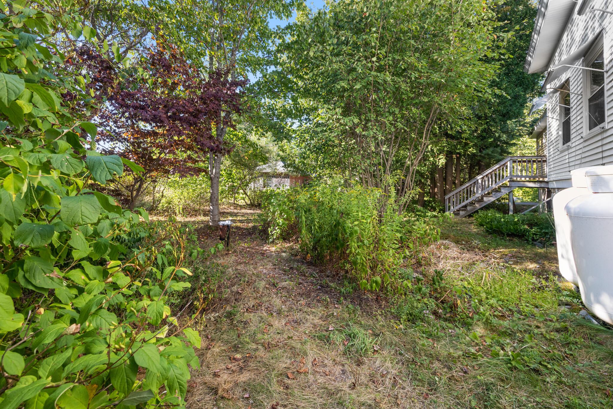 151 South Gouldsboro Road Gouldsboro, ME 04607 - Photo 44 of 50 Backyard