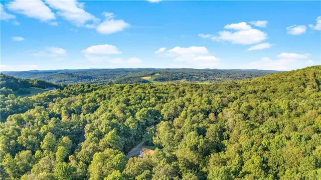 $385,000 | 158 Easy Street, Jefferson, NY 12167