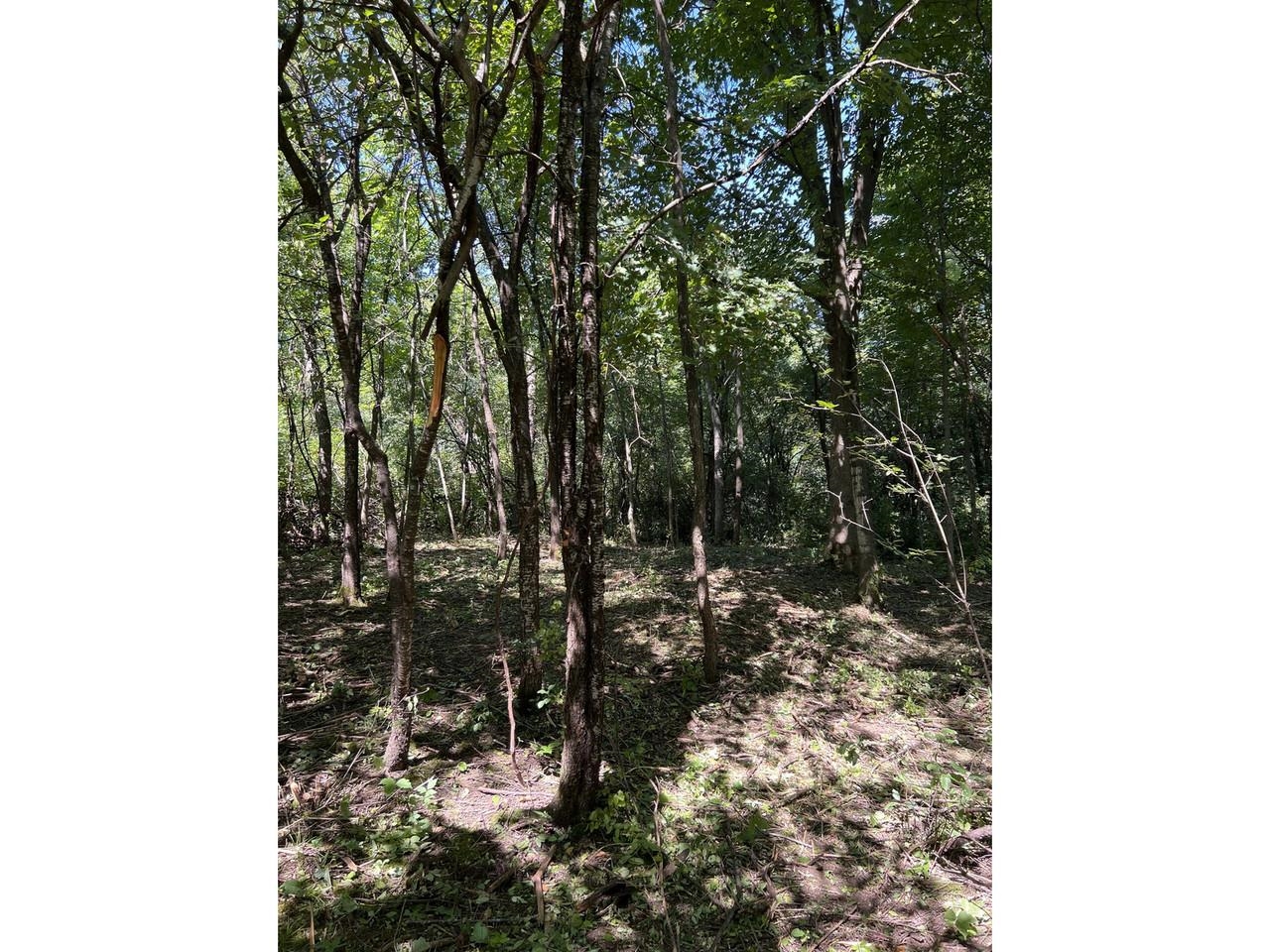 0 Hemenway Road Bridport, VT 05734 - Photo 5 of 13