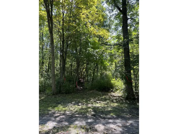 $100,000 | 0 Hemenway Road, Bridport, VT 05734