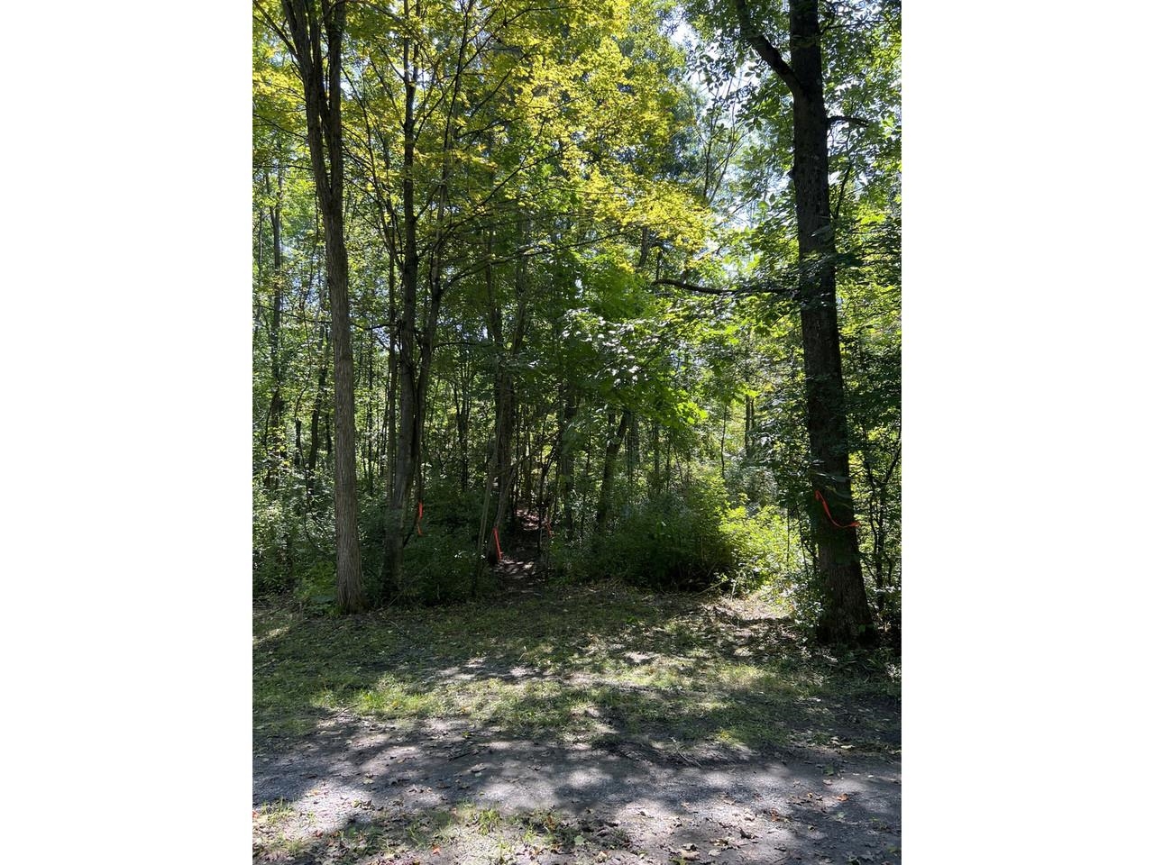 0 Hemenway Road Bridport, VT 05734 - Photo 6 of 13