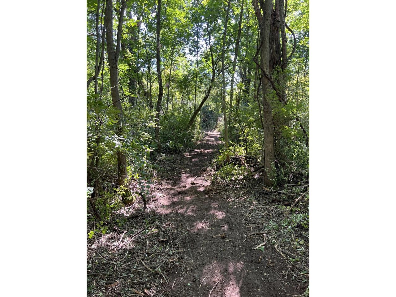 0 Hemenway Road Bridport, VT 05734 - Photo 8 of 13