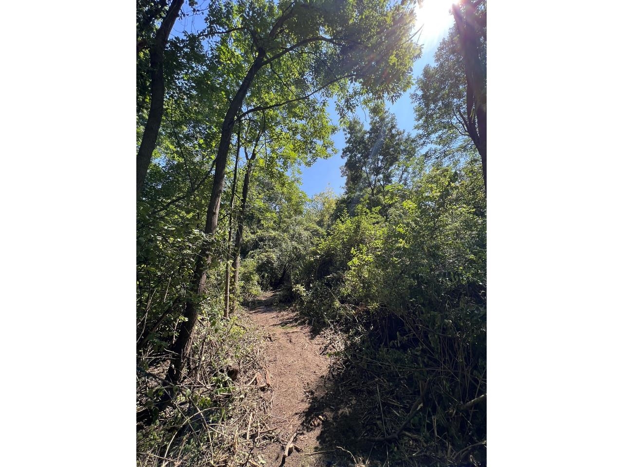 0 Hemenway Road Bridport, VT 05734 - Photo 9 of 13