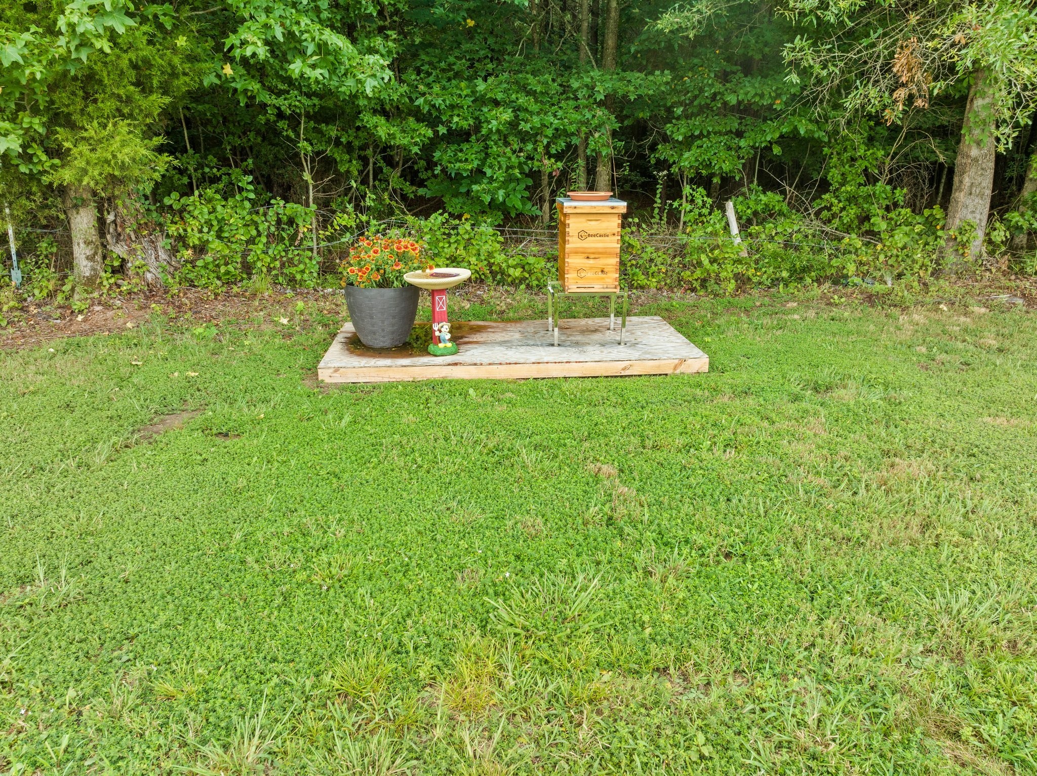 285 Hancock Lane Tullahoma, TN 37388 - Photo 71 of 79