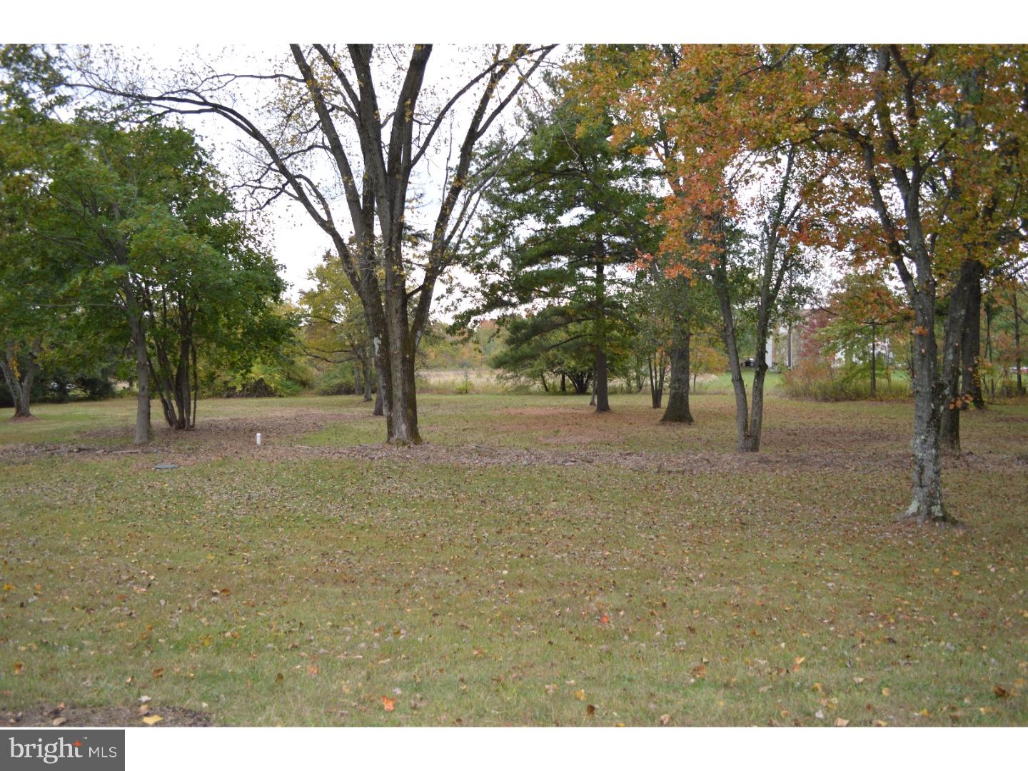 1112 Callowhill Road Perkasie, PA 18944 - Photo 16 of 17 a view of outdoor space with trees