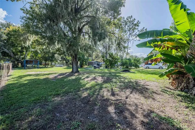 a view of a garden with a tree