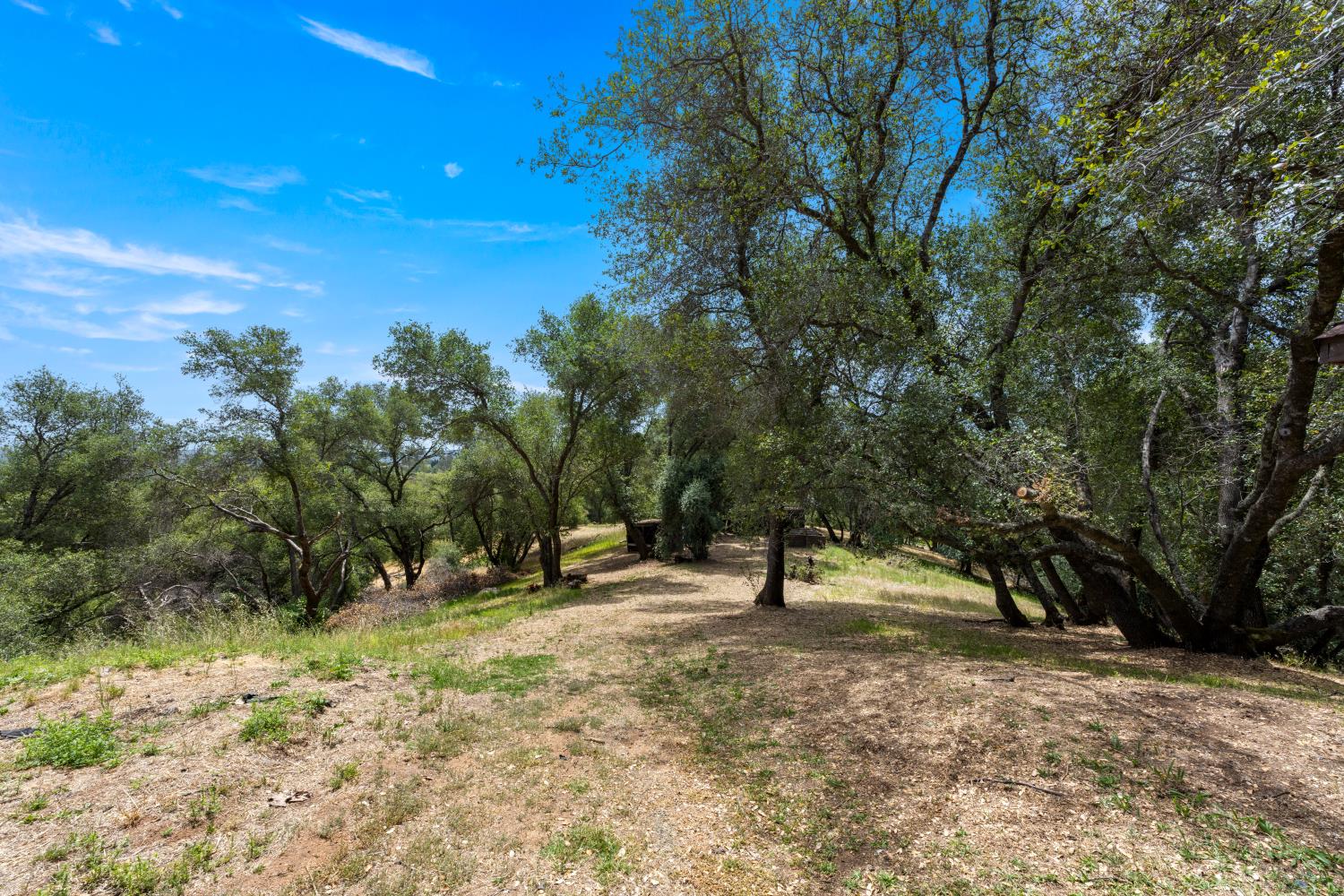 4223 Wise Road Lincoln, CA 95648 - Photo 55 of 95