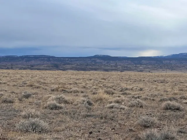 a view of a dry yard