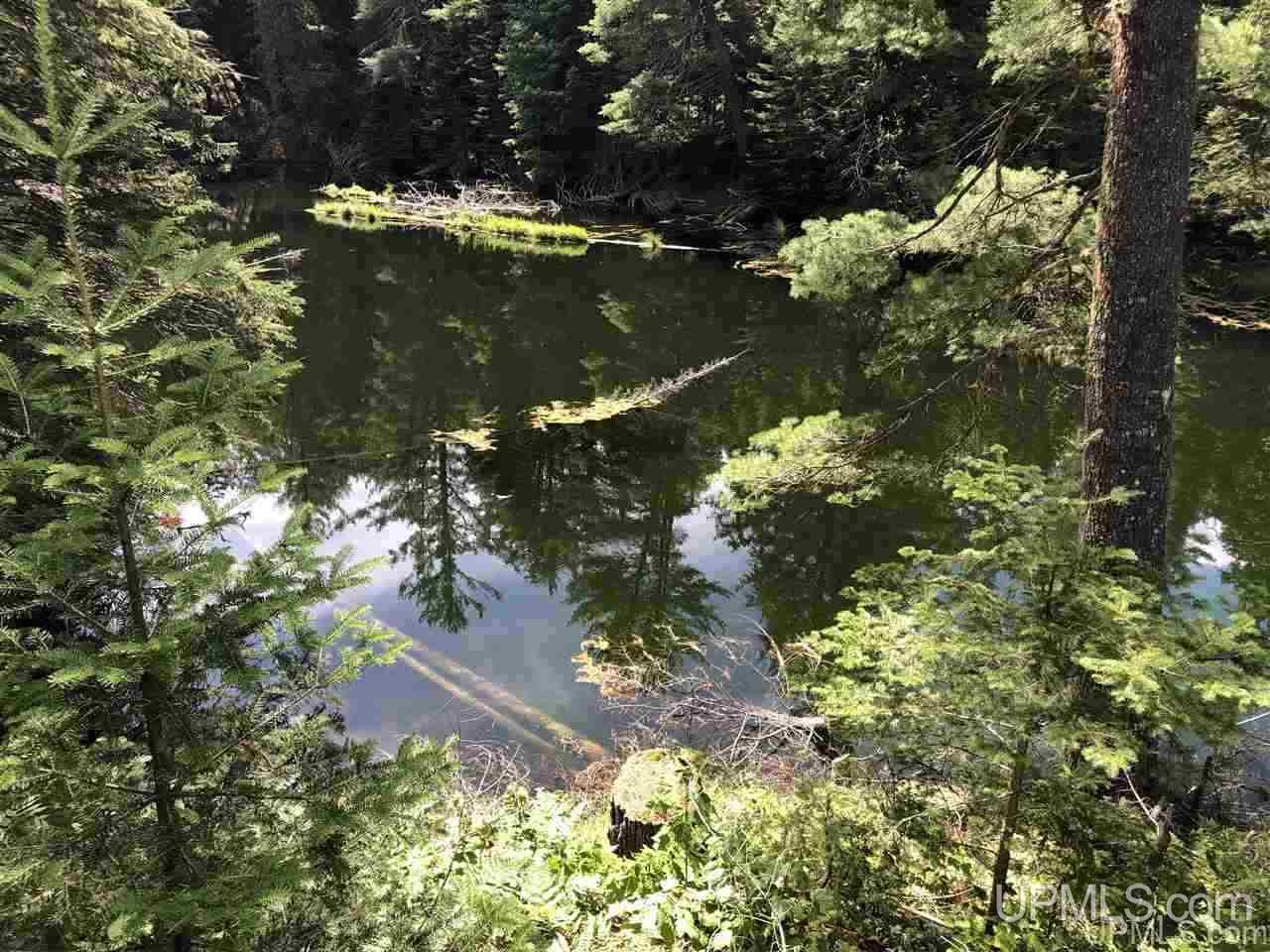 2804-acres Co Rd 442 McMillan, MI 49853 - Photo 36 of 48