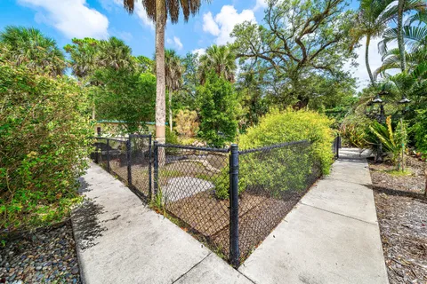 a view of backyard with large tree