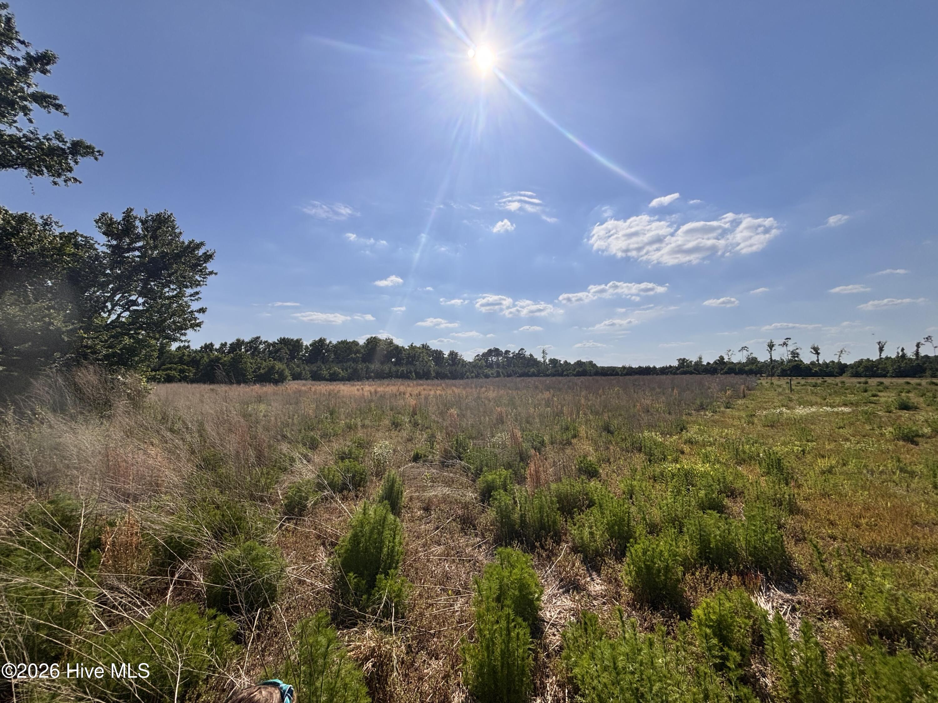 Lot 2 Bass Lake Road Clinton, NC 28328 - Photo 2 of 13
