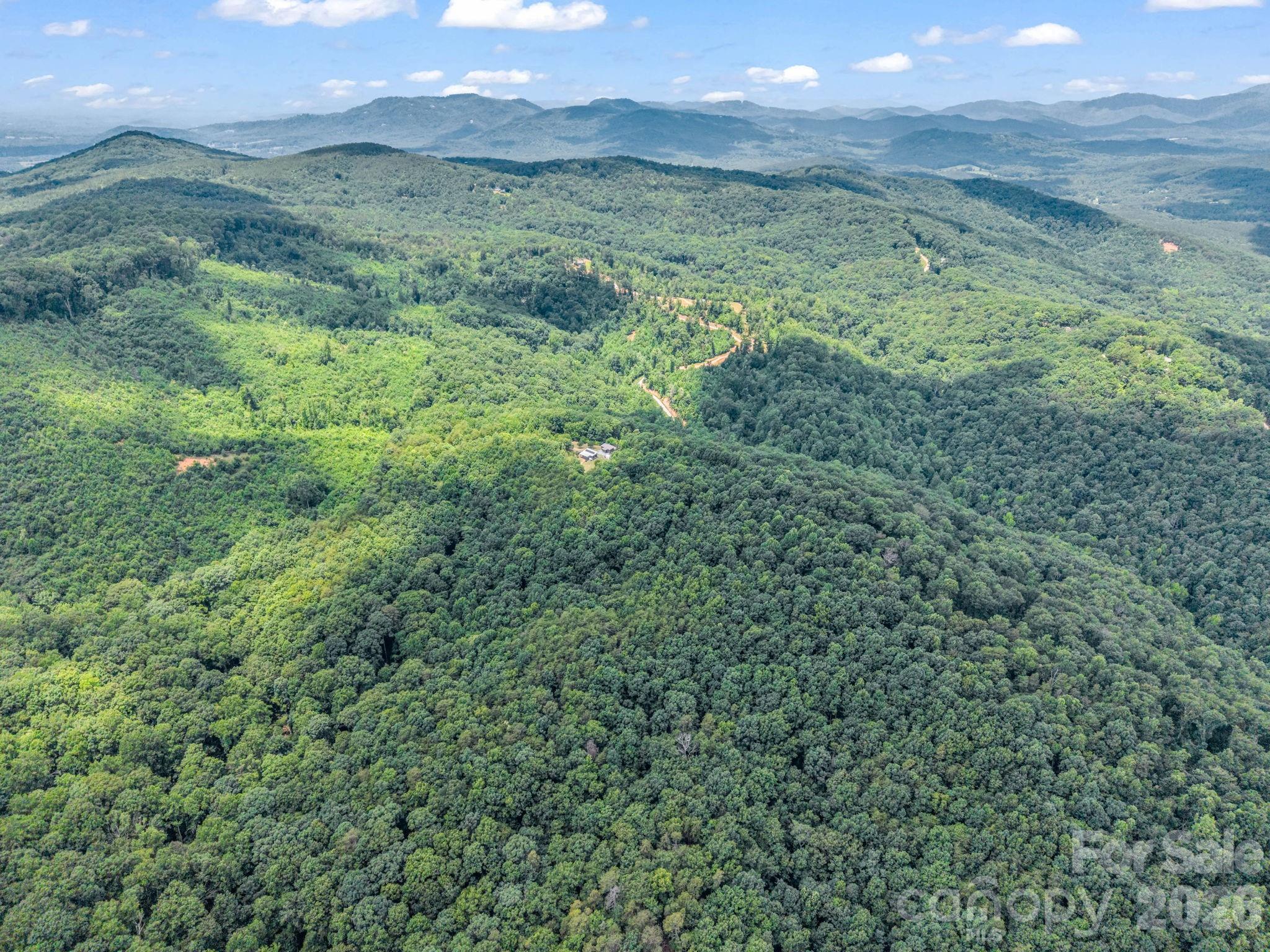 1300 Towery Trace Road Ellenboro, NC 28040 - Photo 37 of 38