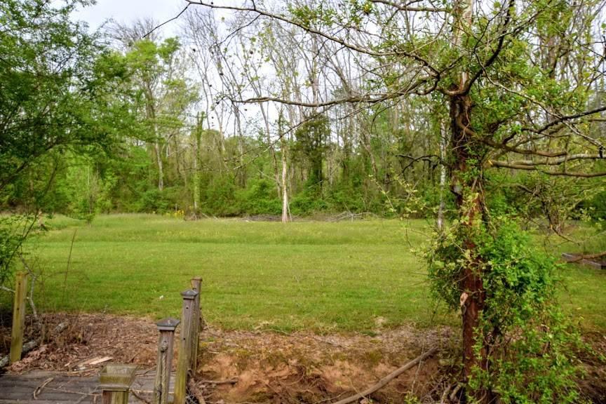 141 Creek Road Spring City, TN 37381 - Photo 32 of 35 20192153-33