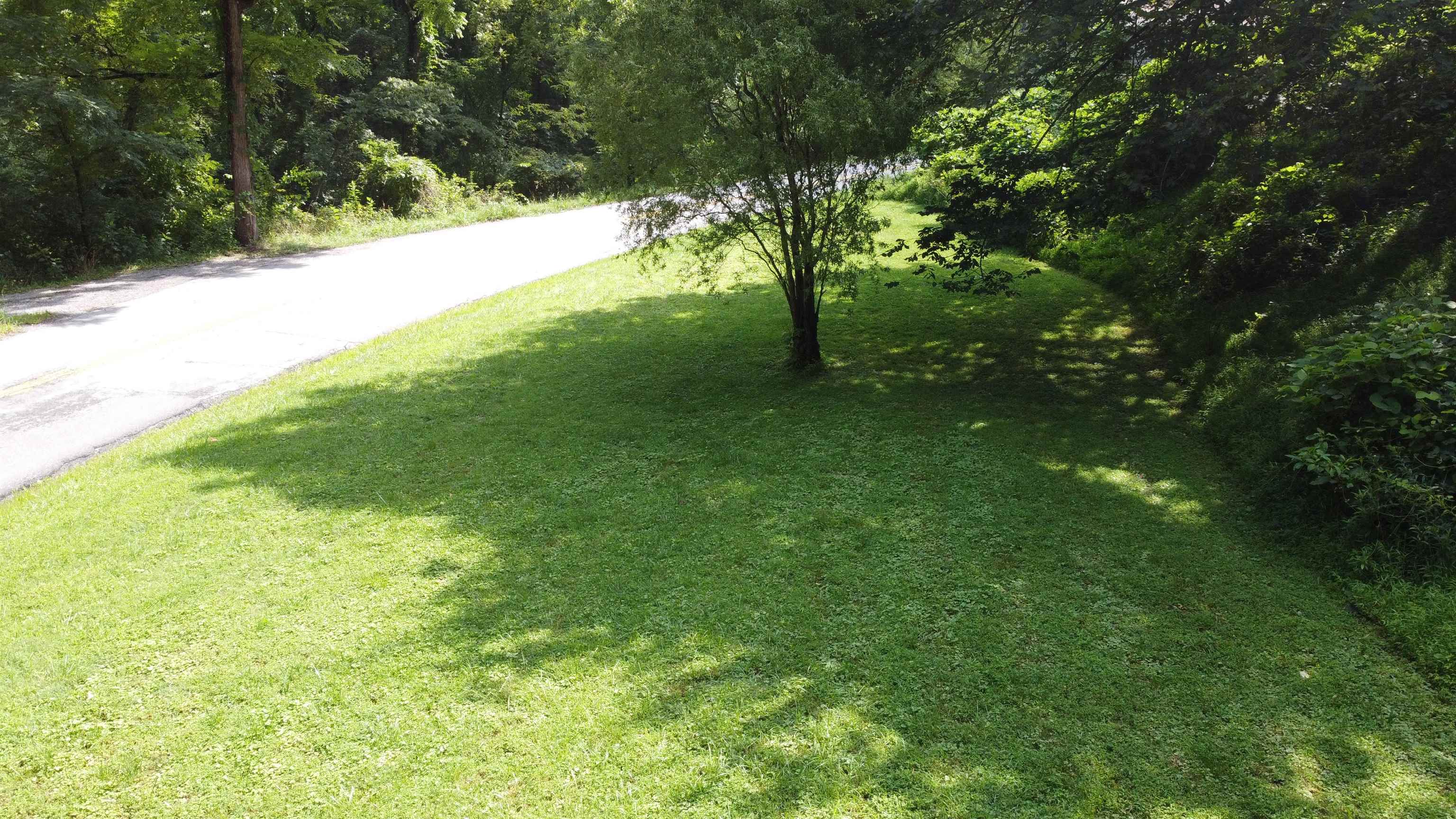 3893 Alleghany Spring Road Shawsville, VA 24162 - Photo 12 of 43 Gallery Image 12